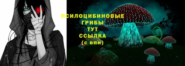сатива Кукмор