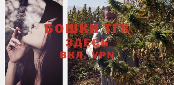 ГАЛЛЮЦИНОГЕННЫЕ ГРИБЫ Кулебаки