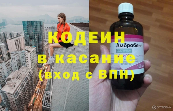 сатива Кукмор