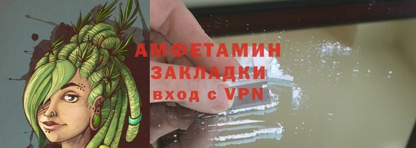 сатива Кукмор