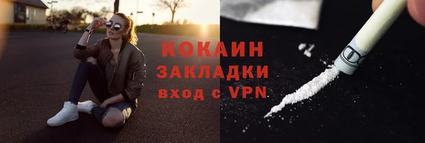 ГАЛЛЮЦИНОГЕННЫЕ ГРИБЫ Кулебаки