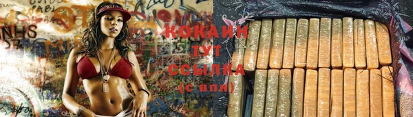 ГАЛЛЮЦИНОГЕННЫЕ ГРИБЫ Кулебаки