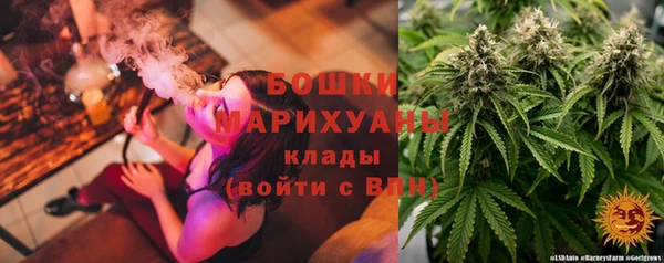 ГАЛЛЮЦИНОГЕННЫЕ ГРИБЫ Кулебаки