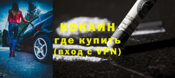 сатива Кукмор